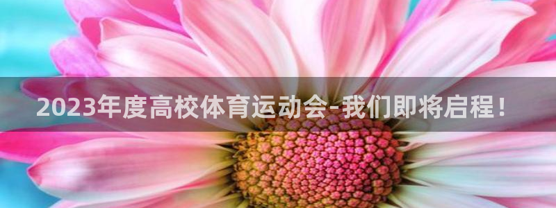 betway西汉姆联：2023年度高校体育运动会-我们即将启程！
