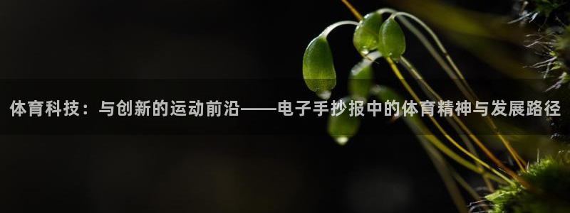 betway西汉姆联