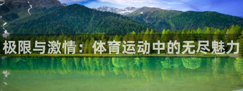 betway西汉姆联官网：极限与激情：体育运动中的无尽魅力