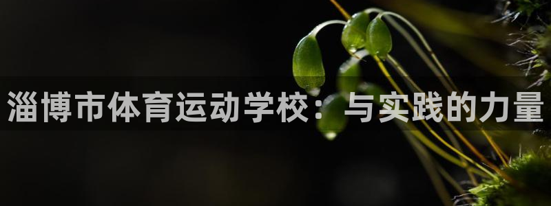 betway西汉姆官网：淄博市体育运动学校：与实践的力量
