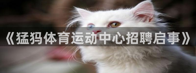 必威betway西汉姆联：《猛犸体育运动中心招聘启事》