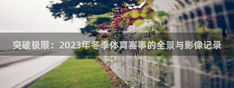 必威betway西汉姆联：突破极限：2023年冬季体育赛事的全景与影像记录