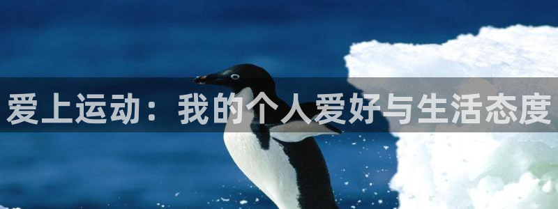必威betway西汉姆联：爱上运动：我的个人爱好与生活态度