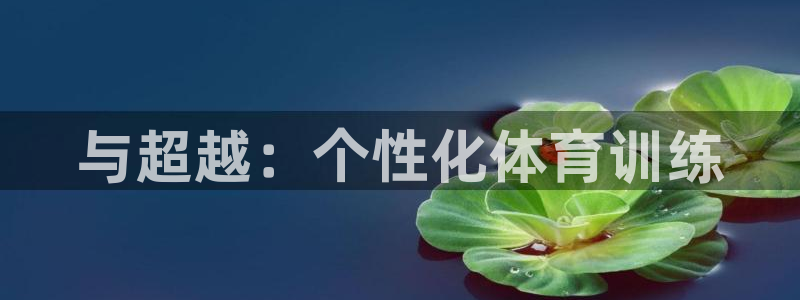betway西汉姆联：与超越：个性化体育训练