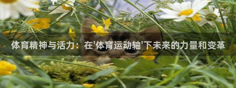 betway西汉姆联