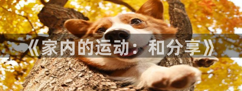 betway西汉姆