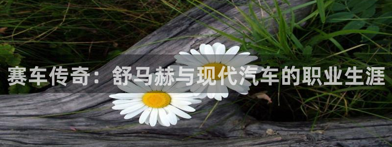 betway西汉姆